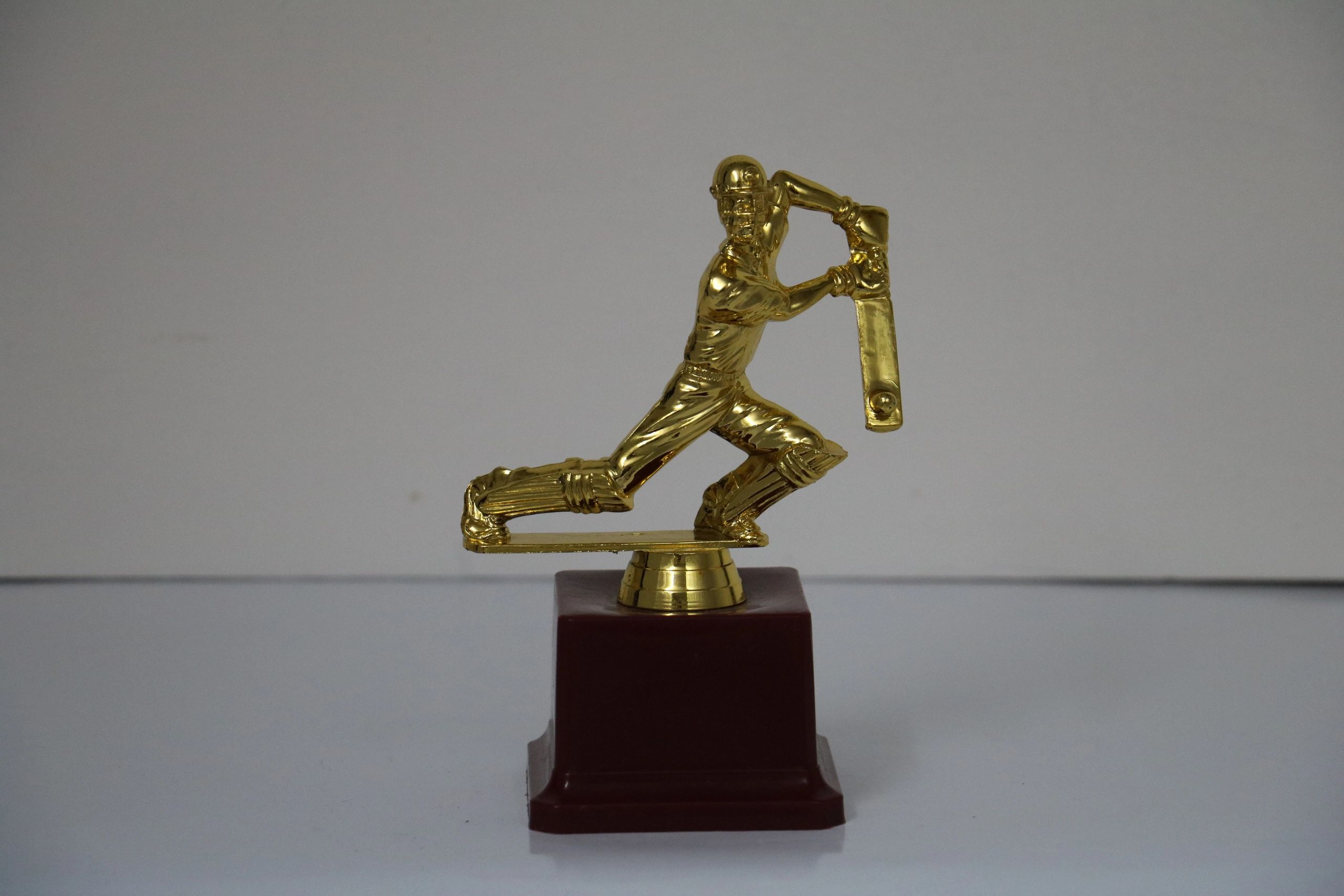 cricket trophy and medals