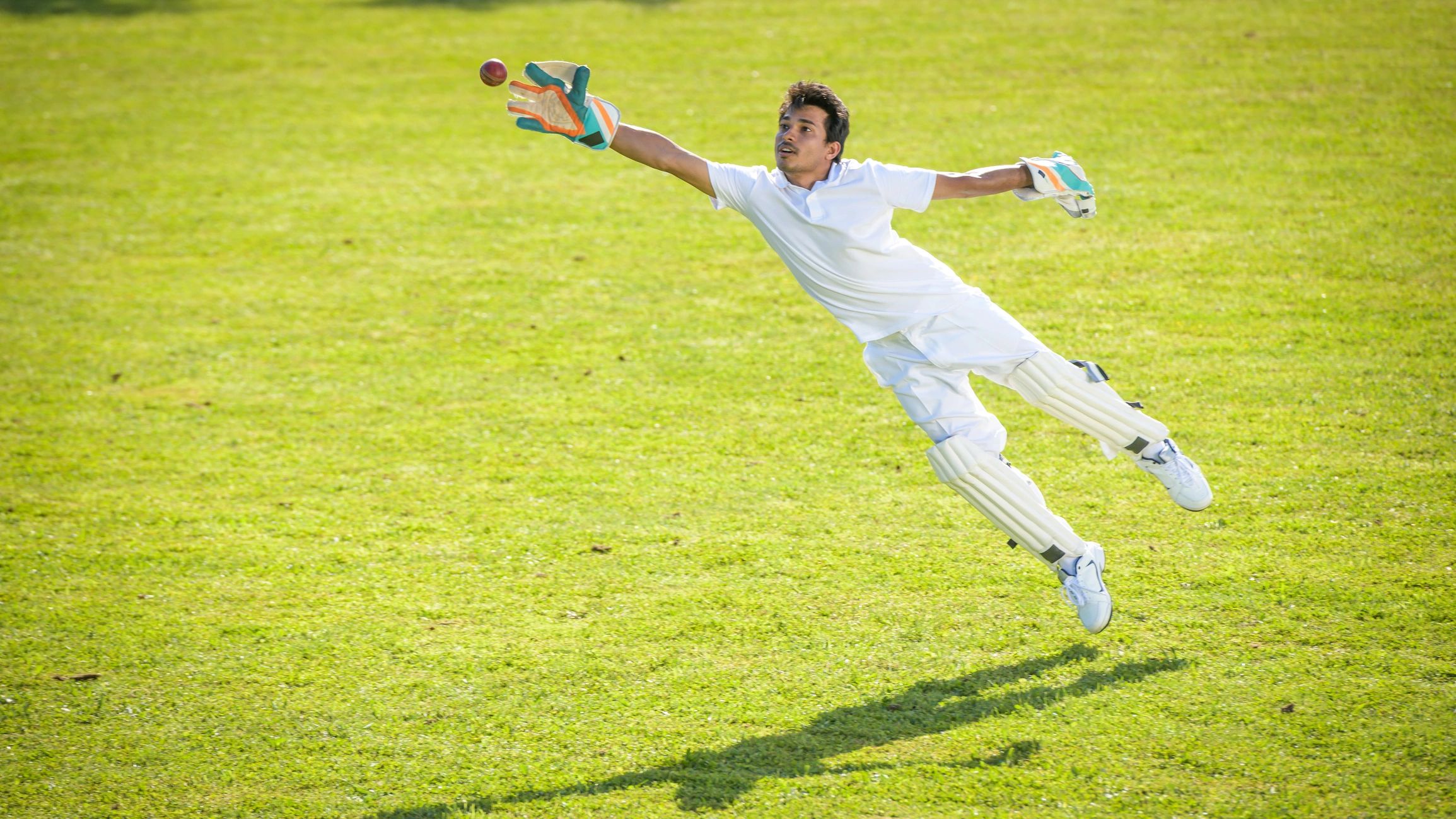 cricket player action