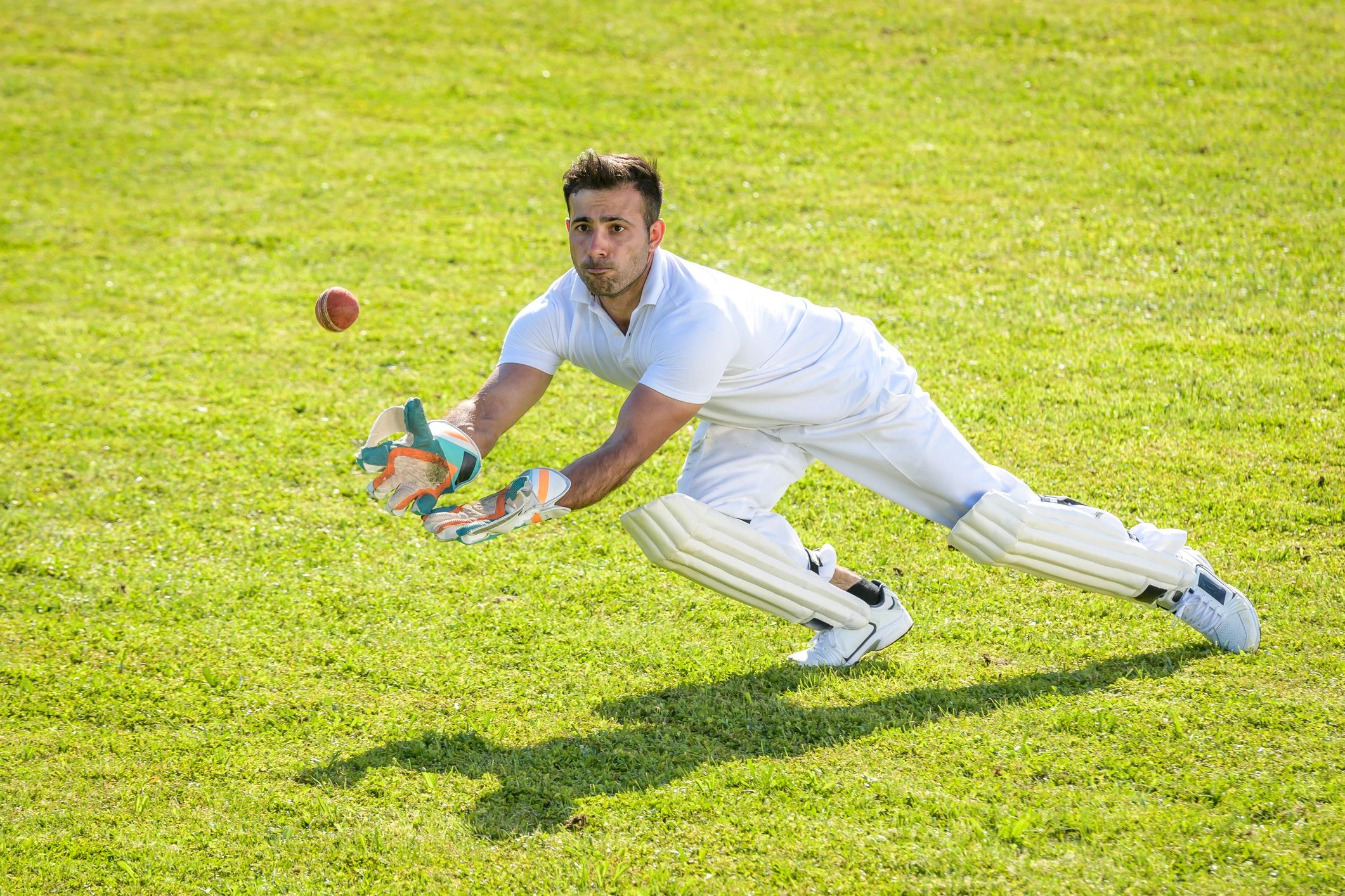 cricket player action